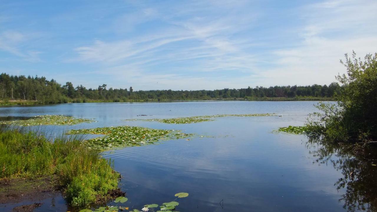 B&B 't Nagtegaeltje Sint-Oedenrode Kültér fotó