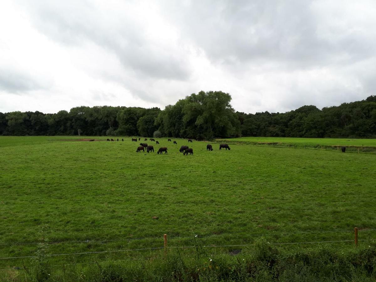 B&B 't Nagtegaeltje Sint-Oedenrode Kültér fotó